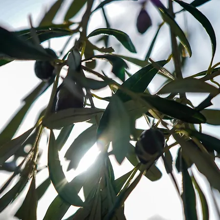 Bellavista 3* San Bartolomeo Al Mare