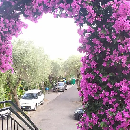 Hotel Bellavista San Bartolomeo Al Mare
