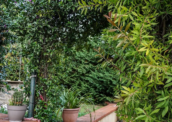 Ξενοδοχείο Bellavista San Bartolomeo Al Mare