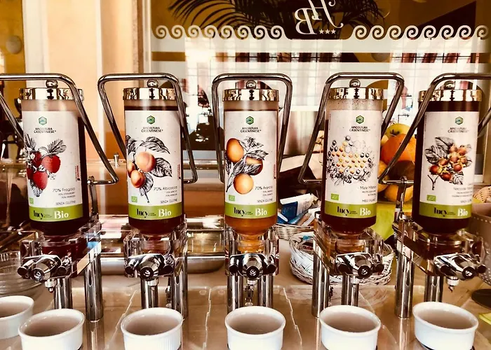 贝拉维斯塔酒店