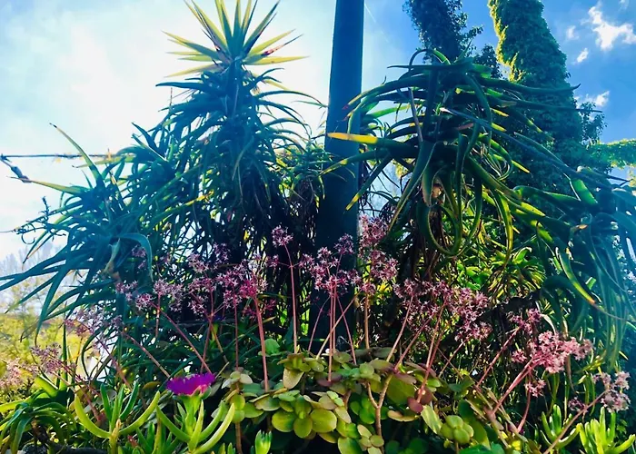 Bellavista Ξενοδοχείο